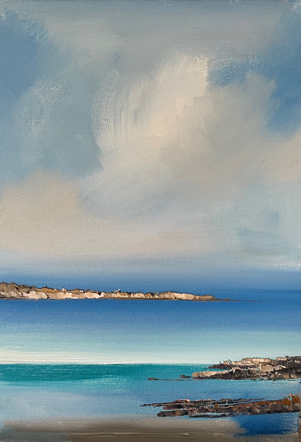 'Sunlit headland' by artist Rosanne Barr